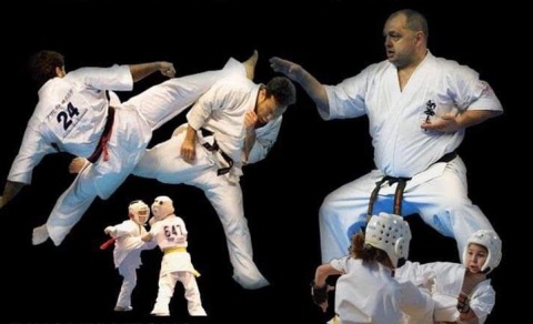 Karate és harcművészeti verseny, családi és sportnap