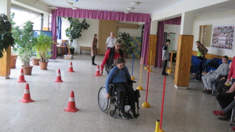 A magyar parasport napja Tatán