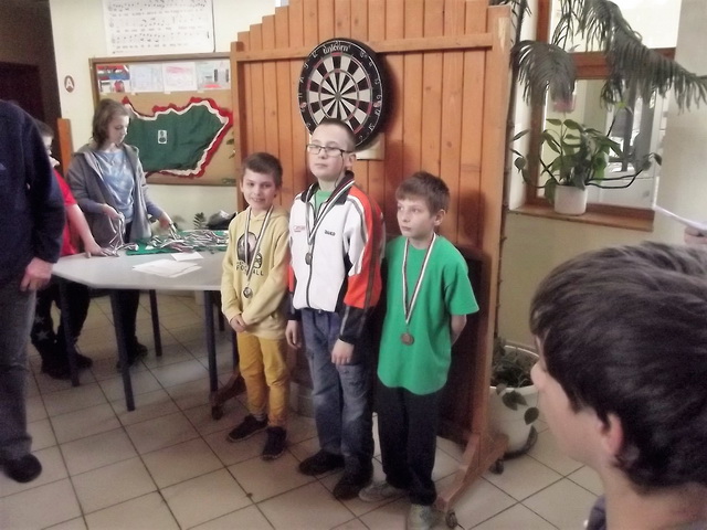 Megyei darts bajnokság